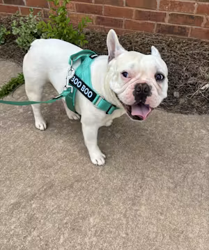 Meet Noora Logan: TikTok's Entrepreneurial Powerhouse!