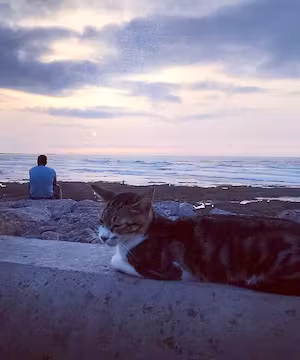 Creative architectural photos from @aitnassere.ayoub