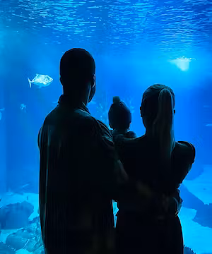 Custom video by @biacampos95