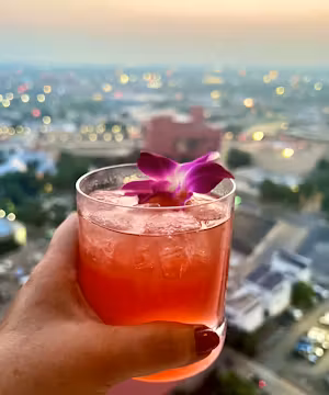 Anjali Dhir: Exploring Food, Travel, and Culture