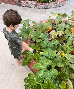 High quality product video by @Mrs.tons