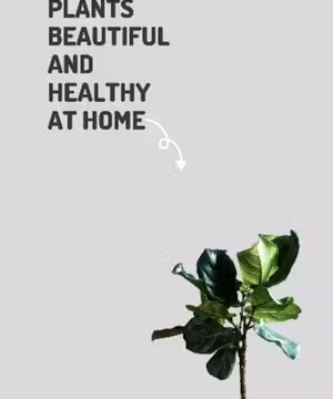 Nancy Polanco: Living Life to the Fullest!