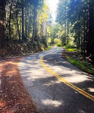 Custom Instagram post from @nic0lemelissa