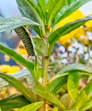 Cheryl MacDonald: A Travel Photographer's Journey to Happiness