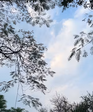 Behold the beauty of nature through Muzakkir's lens!