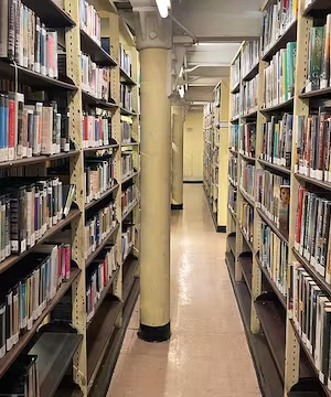 Sponsored Instagram post from @funkie_dory