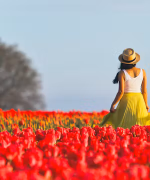 Sponsored Blog Post on Top Travel Blog