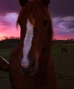 Brand promoter @saving.maisy