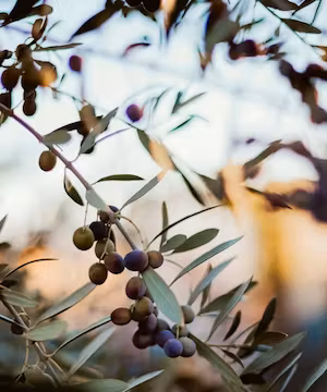 Be Inspired by @PebbleintheStillWaters