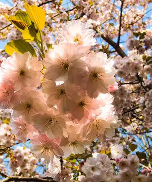 StormHour: Running Weekly Photo Competitions Since 2015