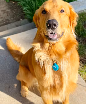 Creative TikTok from @mavandmel