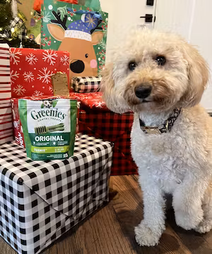 Engaging lifestyle content from @thegingerdesi