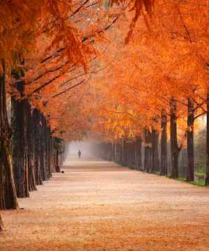 Custom landscape photos by @quotes_and__photography