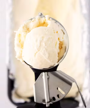 Delish Recipes With a Dash of Yum!