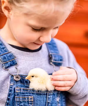 Meet Morgan Price: Your Guide to Savvy Family Feeding