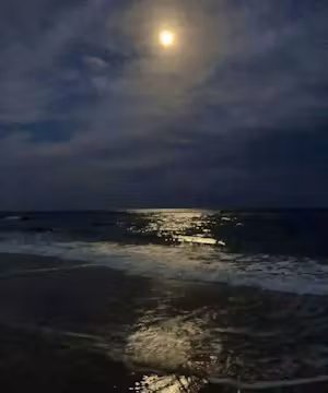 Jhems: Capturing Life's Beauty One Snapshot at a Time