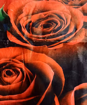 Sponsored TikTok I was born and raised a vegetarian.