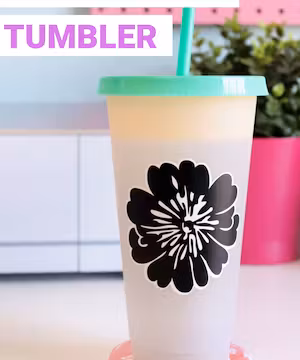 Sarah Vanderkooy: Crafting Joy With Color