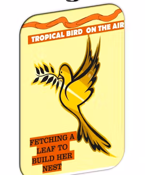 Sahr Michaell Walan: The Creative Genius