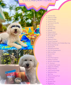 Creative Instagram post by @adventuresofamadeus