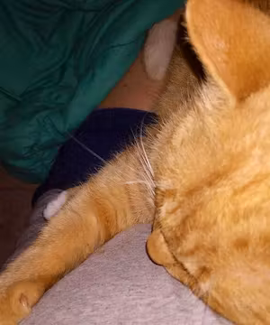 Sponsored Instagram post by @Ezeebuxs