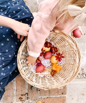 Unique Instagram post from @amandahandleson