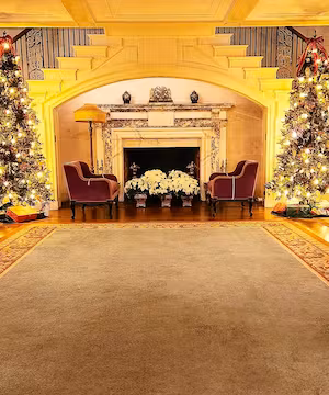 Taste the world with Nikki Miller-Ka!