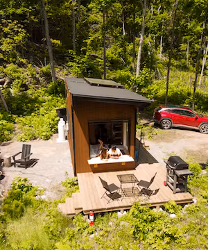 Quality Instagram post from @vivalavinisha