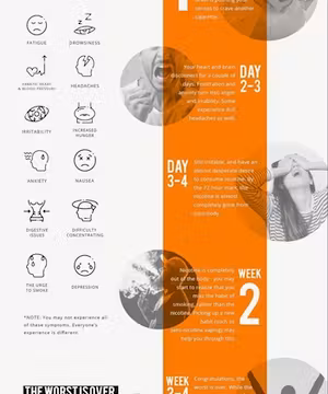 Hamza Taleb: Crafting Infographics with Imagination!