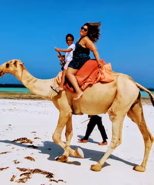 Creative Travel and Lifestyle Instagram Reel from @upupandadams