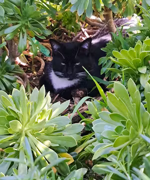 Vanessa Alonzo invites you to explore her blog and shop!