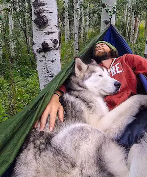 Custom Instagram post by (100k-2 million reach) @woofhusky