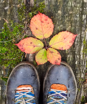 Kellie's captivating journey of creativity and exploration.