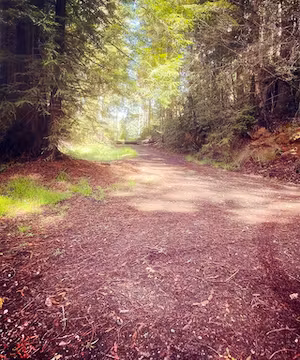 Custom Instagram post from @nic0lemelissa