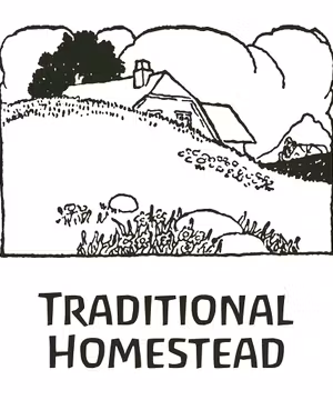 Creative blog post by @traditional_homestead