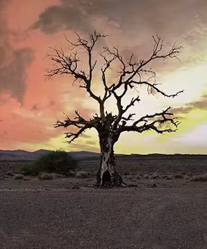Original video by @oussamazaaboubi