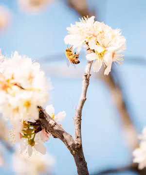 Victoria Wright: Exploring Seattle and Walla Walla!