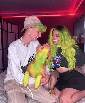 Creative TikTok by @beasteater