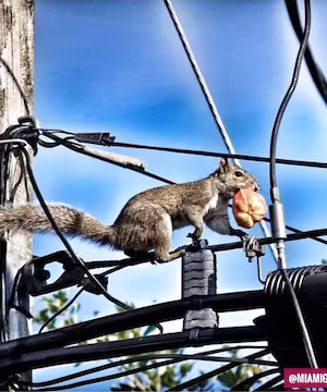 Welcome to Miami Gardens, with Chris Malcolm! Follow along for the latest updates on topics, news & businesses.