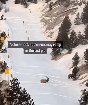 Quality Instagram post from @i70things