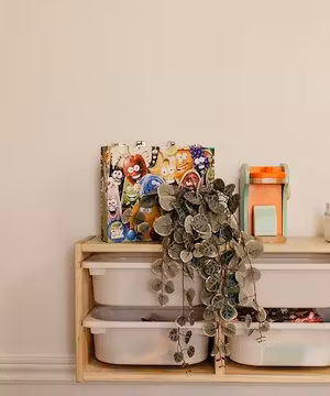 Creative Instagram post from @Liisacotee_