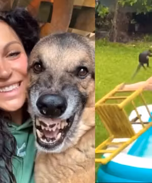 Animalz Funny and cute animal clips