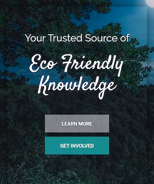 Looking for Quality Content? I'll Write a Sponsored Post on My Nature Website Today!