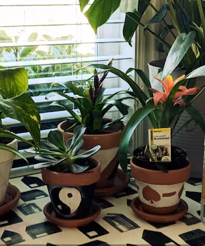 I Will Share Your Family Product In A Dedicated Blog Post