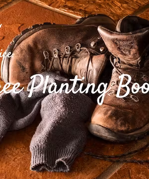 Looking for Quality Content? I'll Write a Sponsored Post on My Nature Website Today!