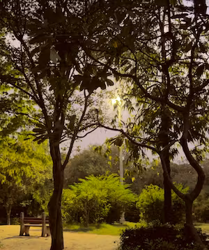 Behold the beauty of nature through Muzakkir's lens!