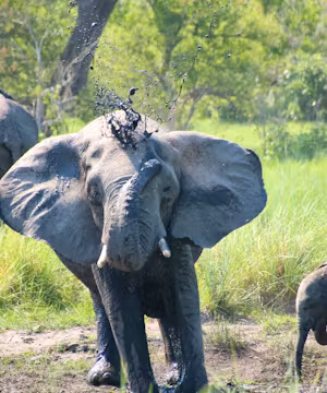 Simasiku Mazunga: Boldly Embracing Adventure!