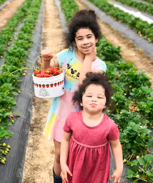 Alika Schwartz: Crafting Creative Celebrations with Purpose!