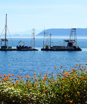 Kellie's captivating journey of creativity and exploration.