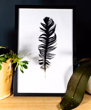 Lorenzo Castronovo: a unique product photography creator!